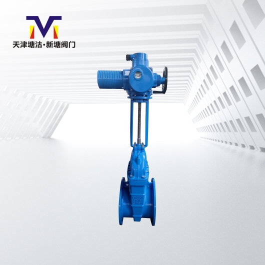 電動明桿橡膠閘閥